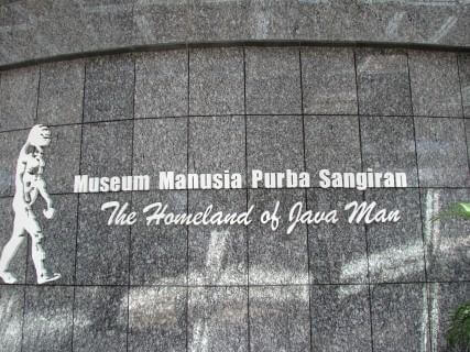 Museum Sangiran