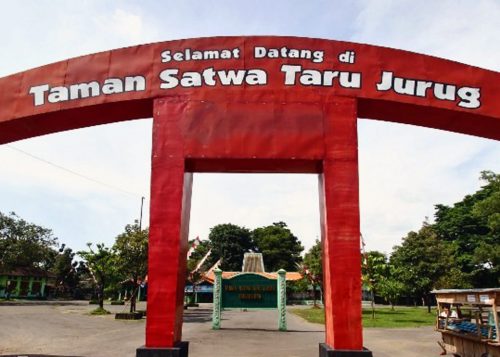 Kebun Binatang Taru Jurug Solo