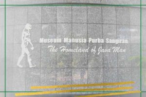 Museum Sangiran solo