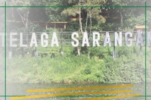Telaga Sarangan